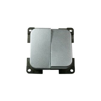 Schalter Doppel Silber C-line