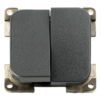 Schalter Doppel anthrazit C-line