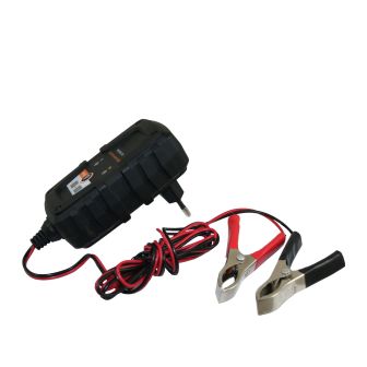 Batteriewächter 230V - 6V/12V